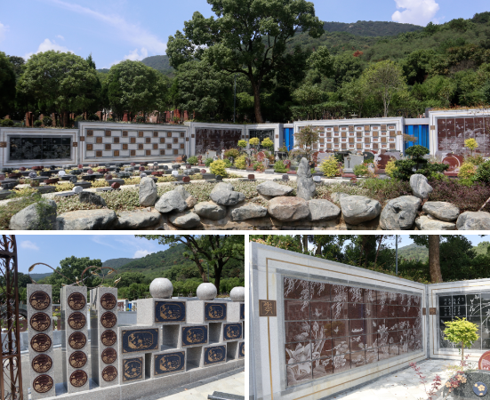 壹号娱乐 - NG大舞台,有梦你就来