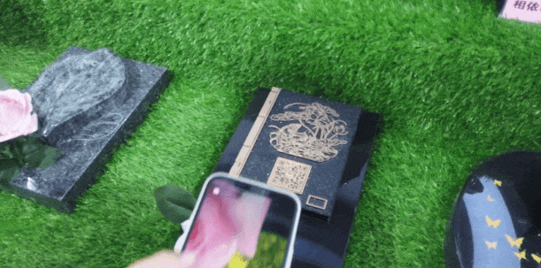 壹号娱乐 - NG大舞台,有梦你就来