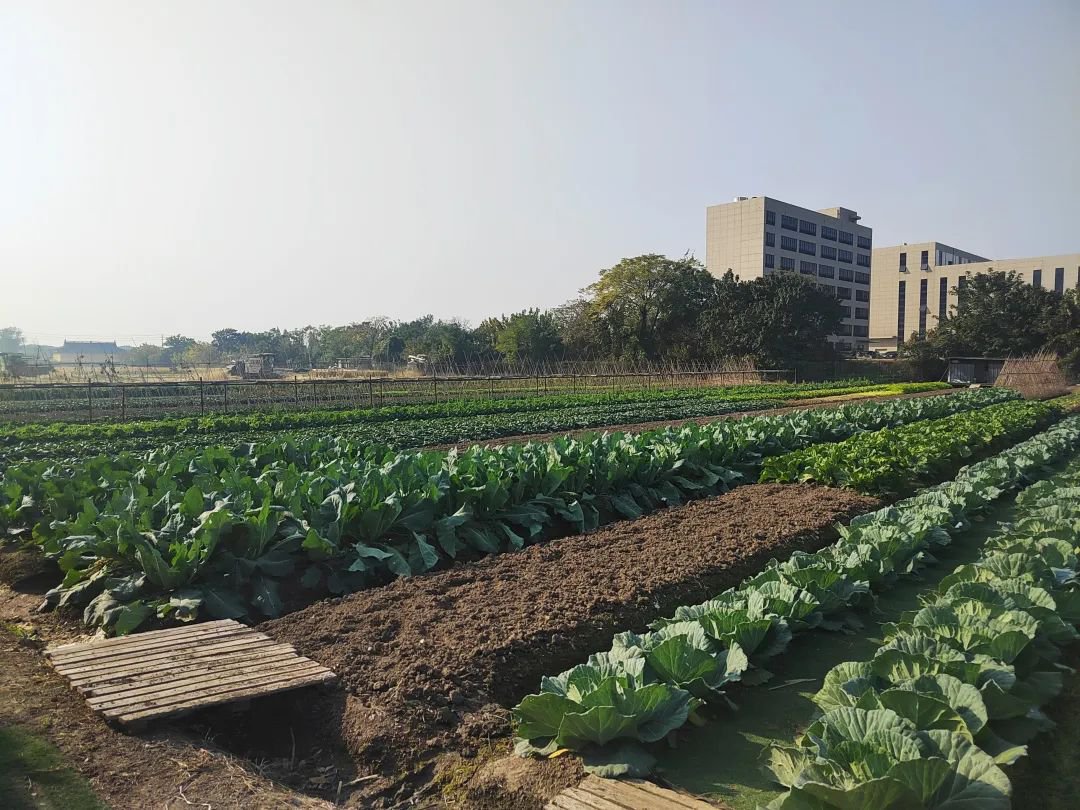 壹号娱乐 - NG大舞台,有梦你就来