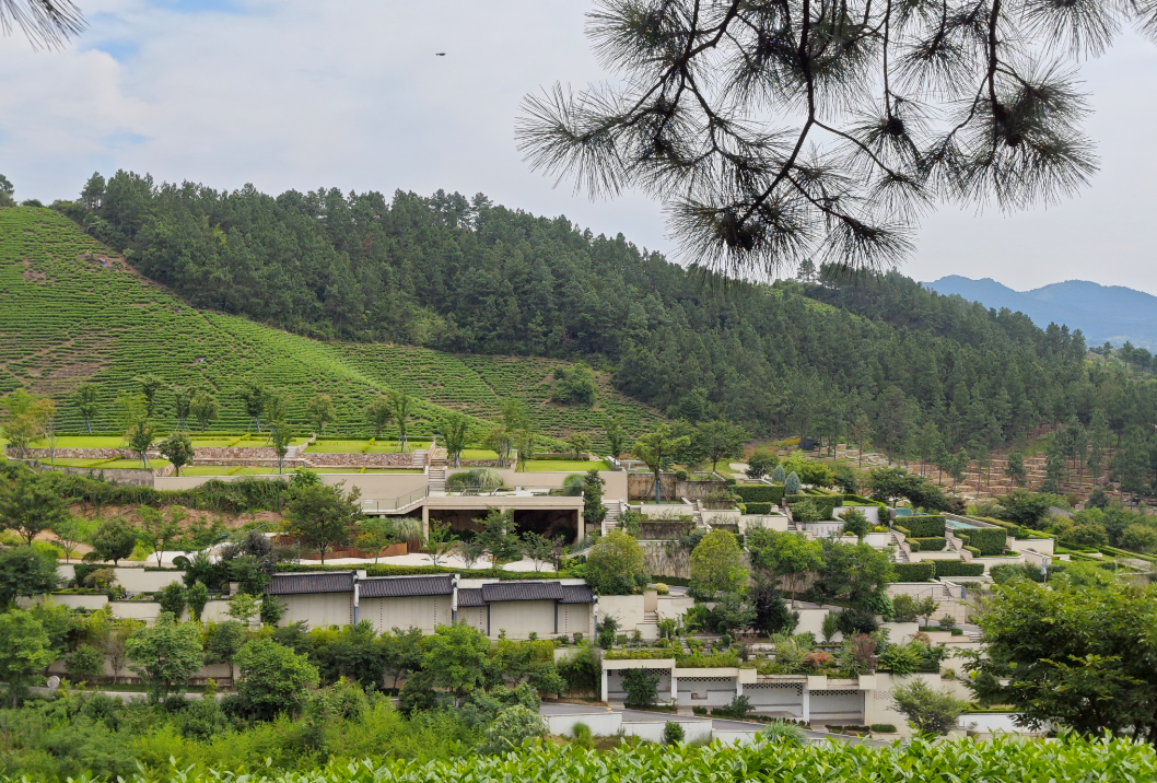 壹号娱乐 - NG大舞台,有梦你就来