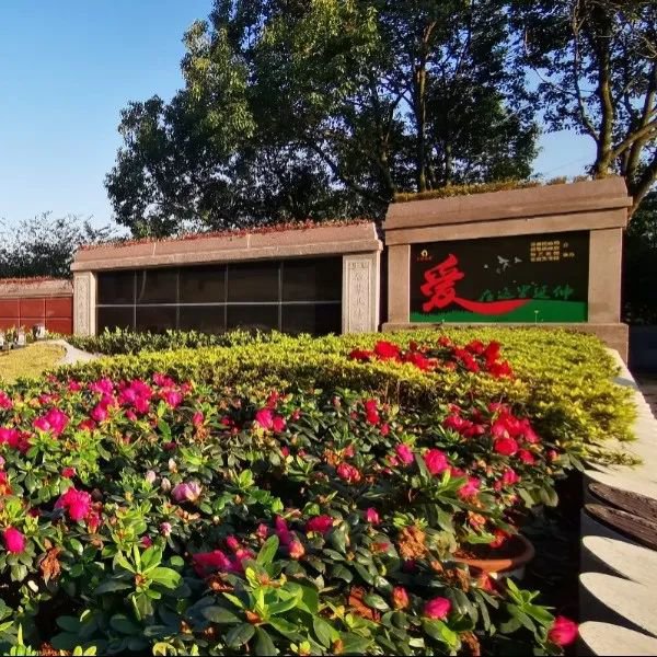 壹号娱乐 - NG大舞台,有梦你就来