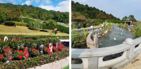 壹号娱乐 - NG大舞台,有梦你就来