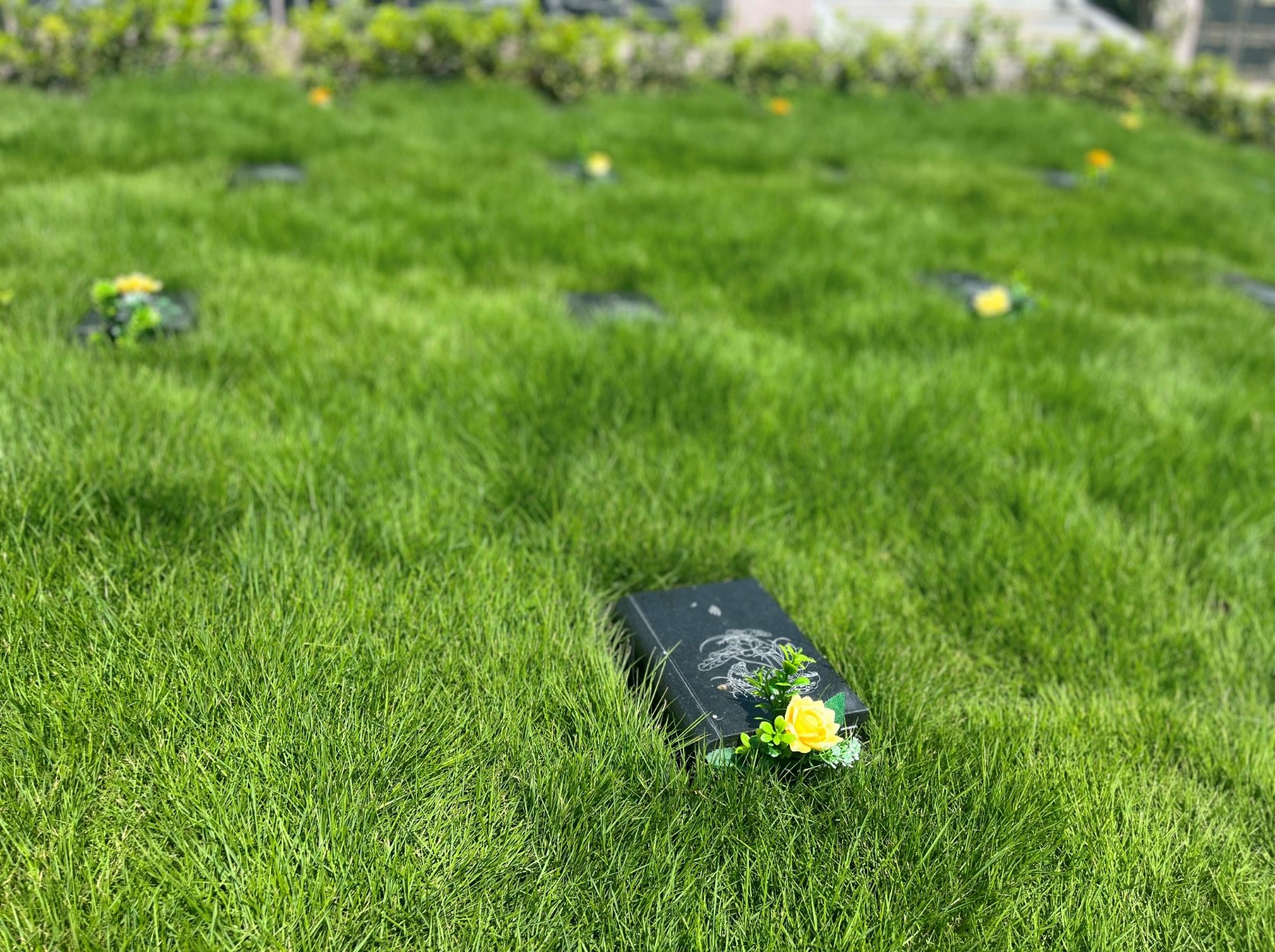 壹号娱乐 - NG大舞台,有梦你就来