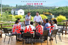 《樱桃崮下》给壹号娱乐的启发