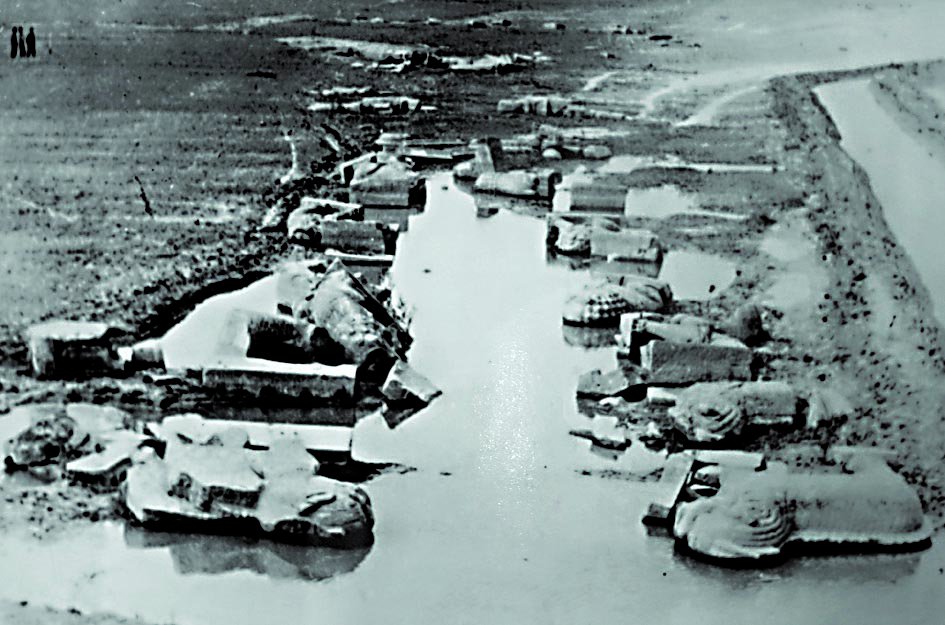 壹号娱乐 - NG大舞台,有梦你就来