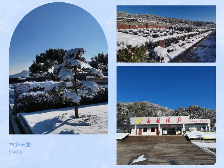 壹号娱乐 - NG大舞台,有梦你就来