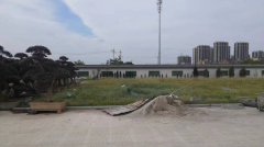 老墓园微刷新，助力城市人文关切