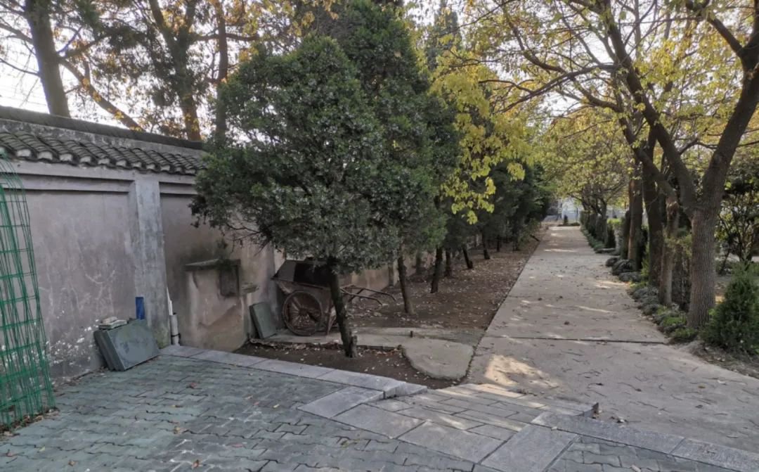 壹号娱乐 - NG大舞台,有梦你就来