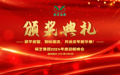 2024年壹号娱乐集团迎新春年会暨颁奖典礼盛猛进行