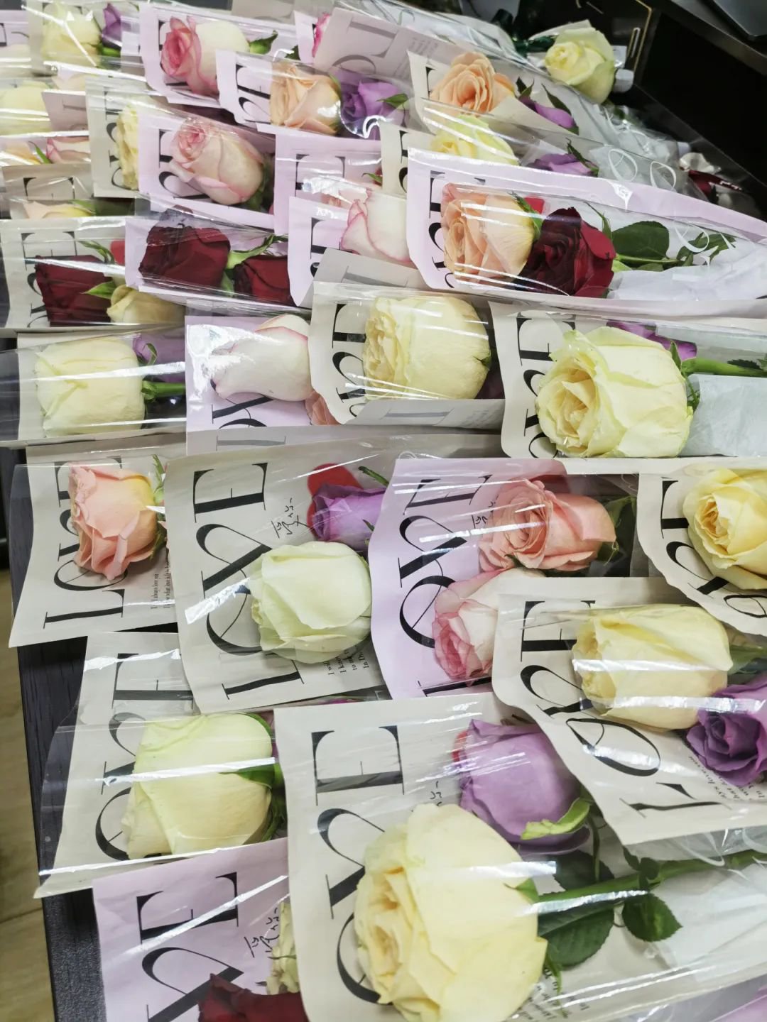 壹号娱乐 - NG大舞台,有梦你就来