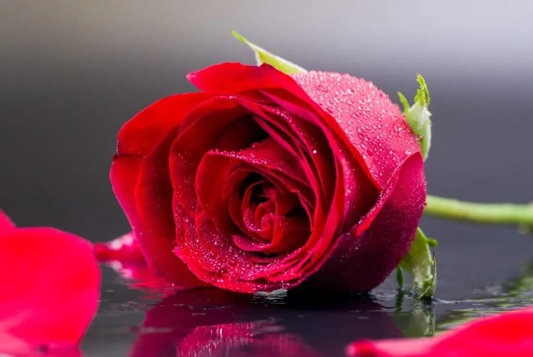 女神节 | 致敬“她”力量，共筑美好将来