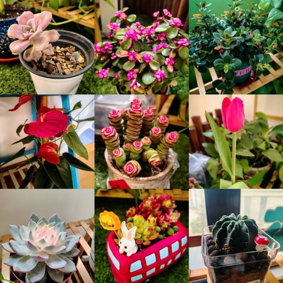 壹号娱乐 - NG大舞台,有梦你就来