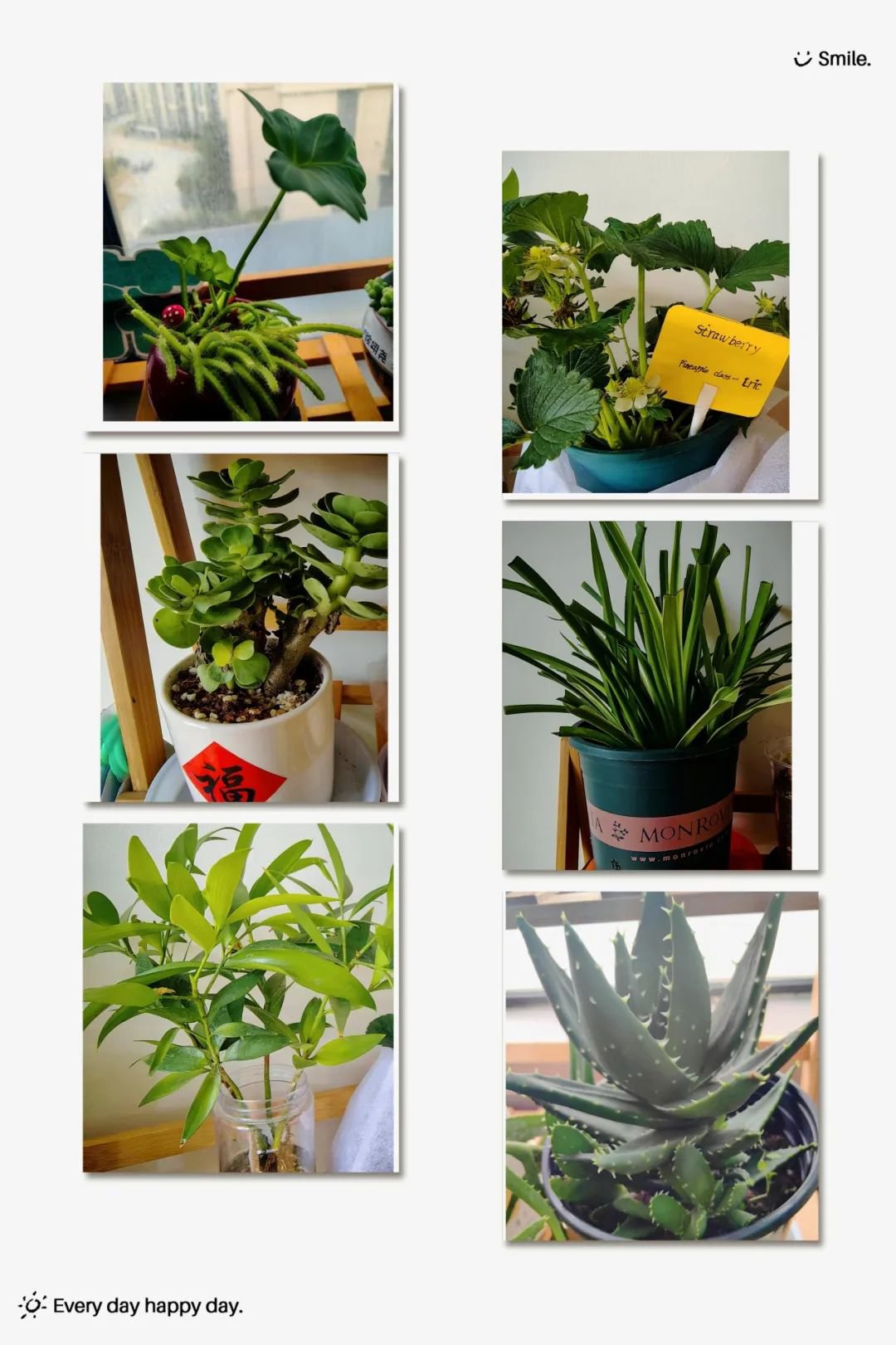 壹号娱乐 - NG大舞台,有梦你就来