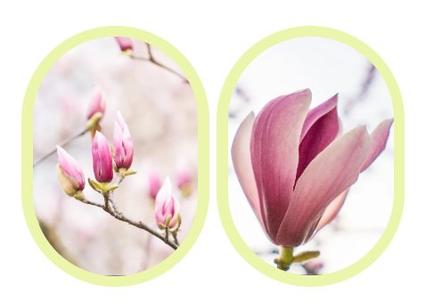 壹号娱乐 - NG大舞台,有梦你就来