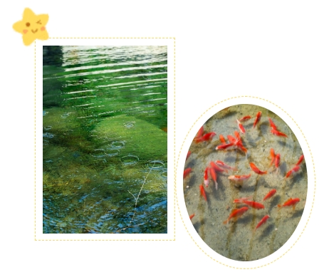 壹号娱乐 - NG大舞台,有梦你就来