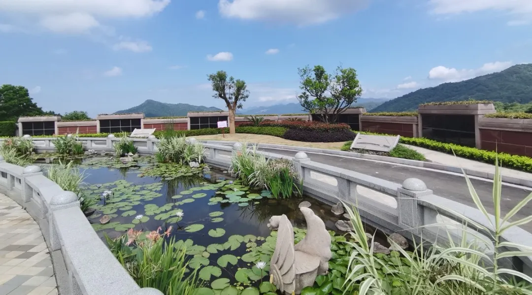 壹号娱乐 - NG大舞台,有梦你就来