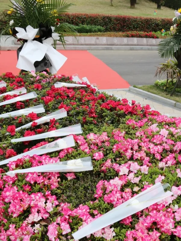 壹号娱乐 - NG大舞台,有梦你就来