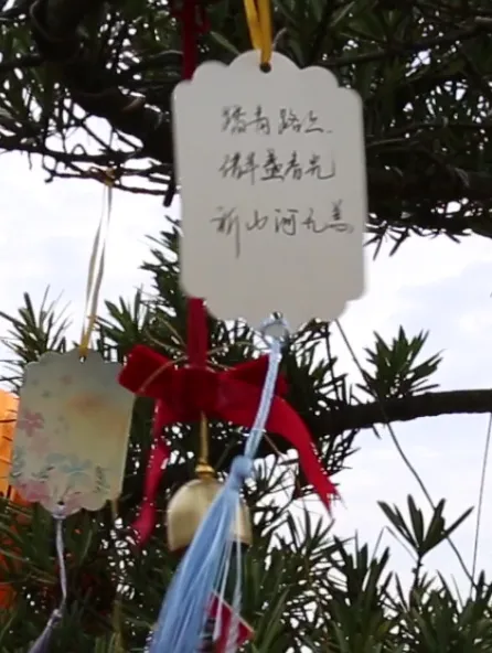 壹号娱乐 - NG大舞台,有梦你就来