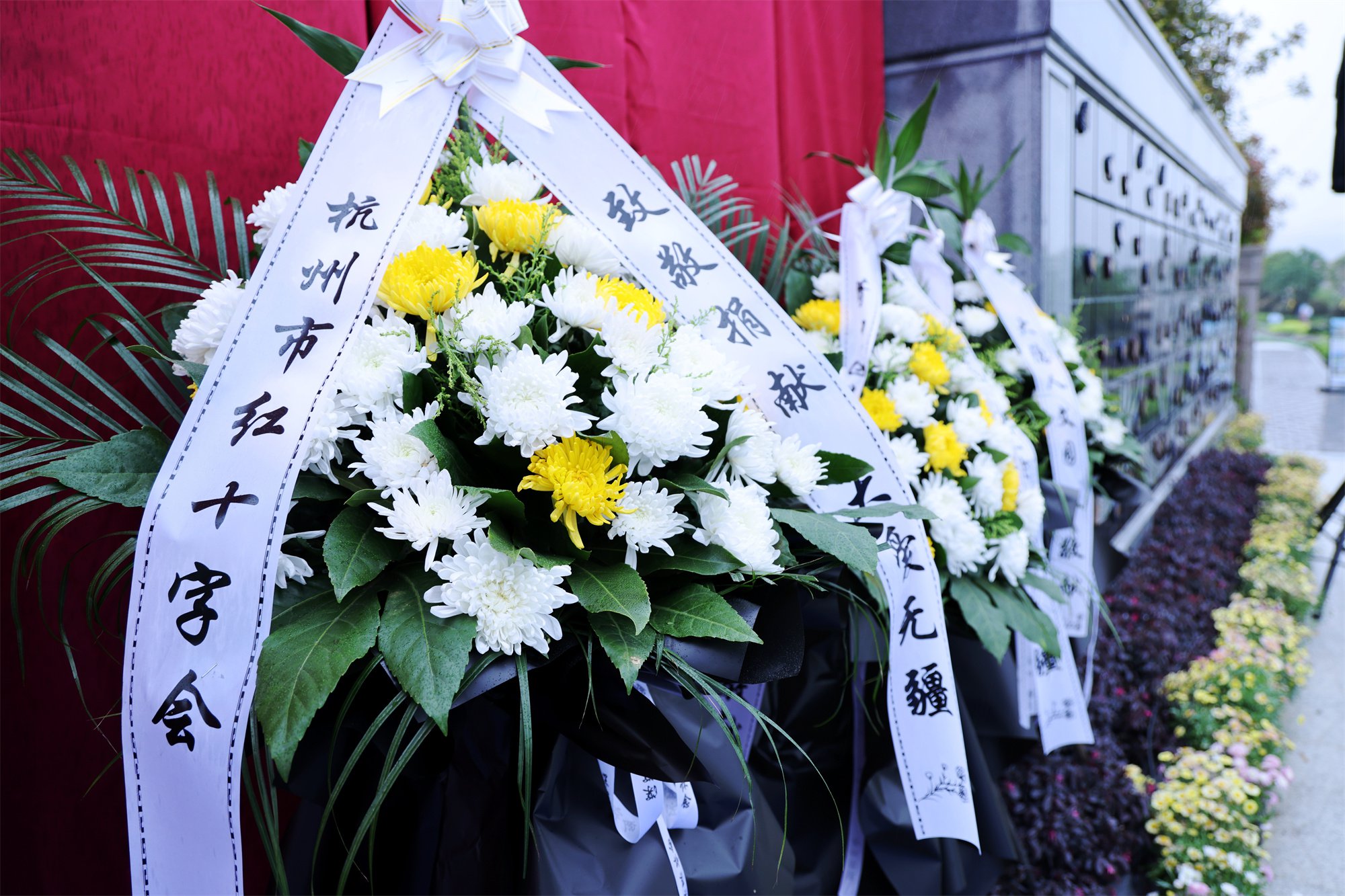 壹号娱乐 - NG大舞台,有梦你就来