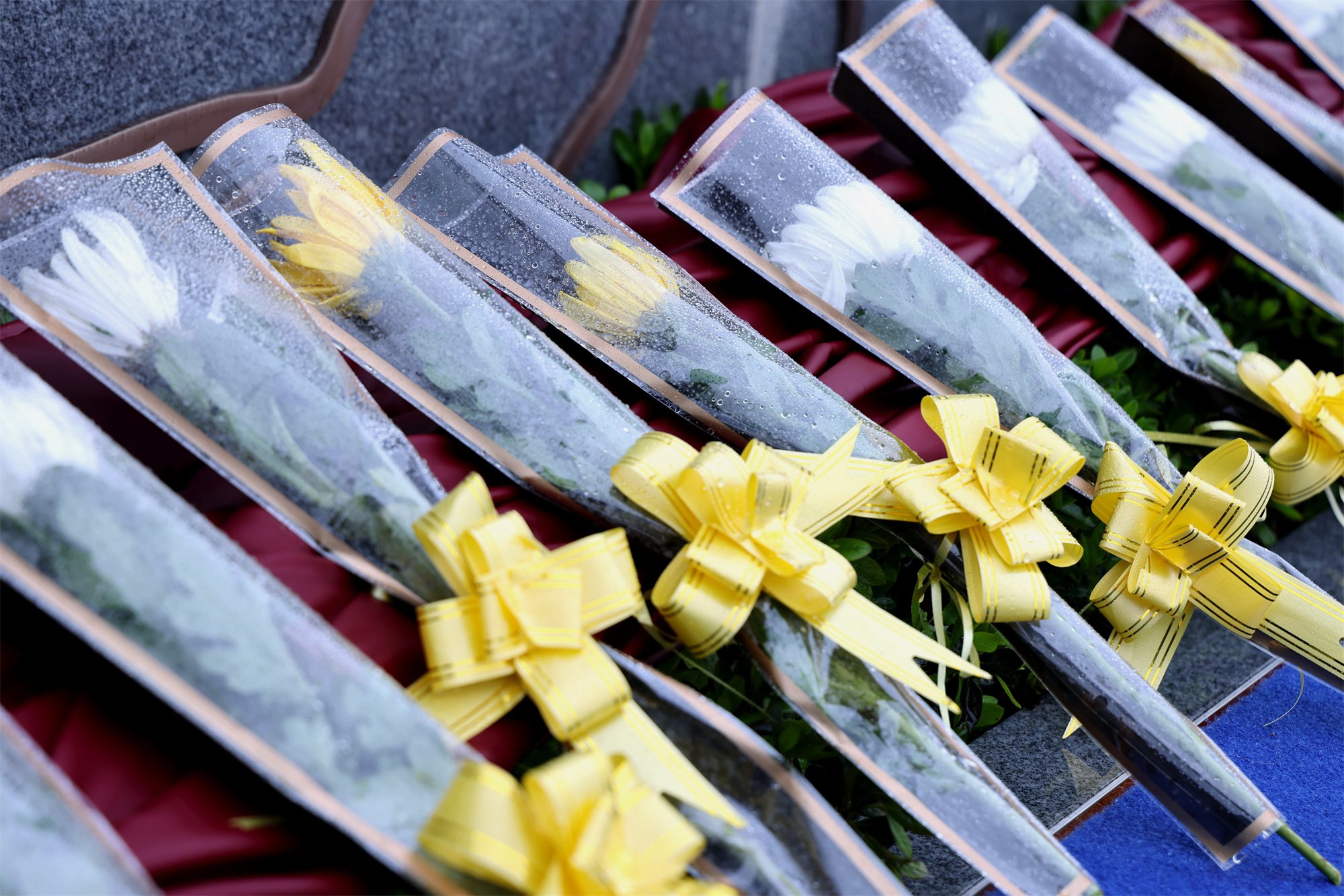 壹号娱乐 - NG大舞台,有梦你就来