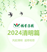 风起清明 遥寄相思|壹号娱乐集团?2024清明篇