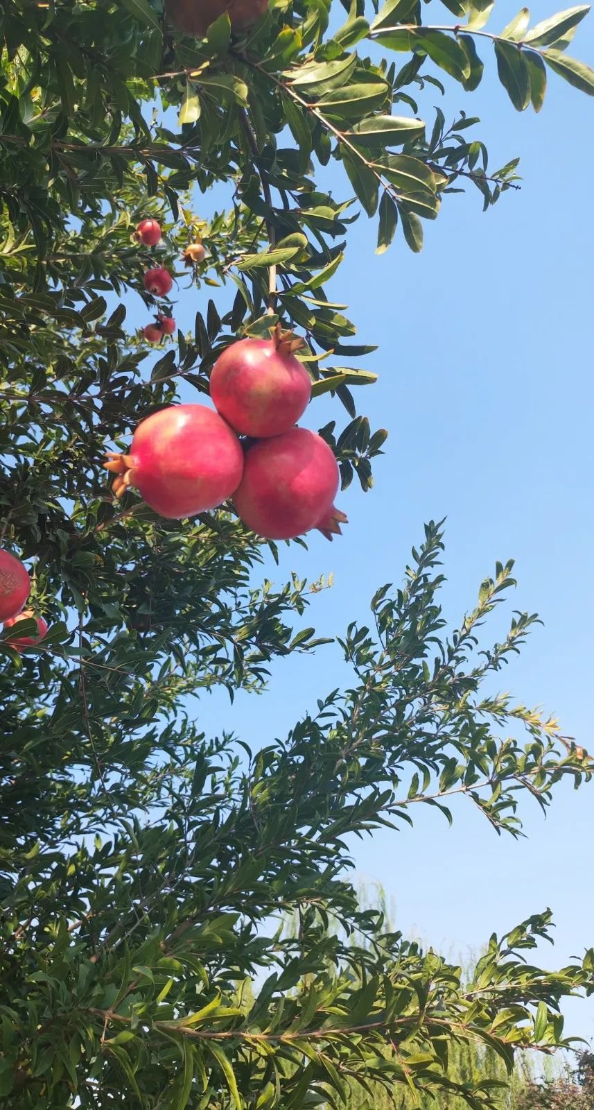 壹号娱乐 - NG大舞台,有梦你就来