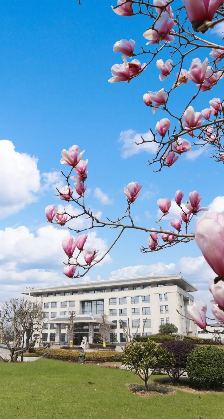 壹号娱乐 - NG大舞台,有梦你就来