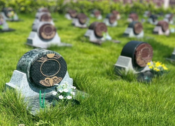 壹号娱乐 - NG大舞台,有梦你就来