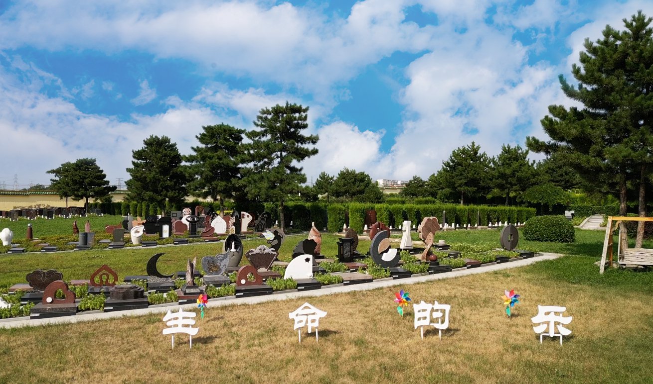 共赢之路：壹号娱乐集团BOT合作模式的优势与效益分析