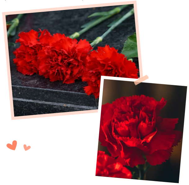 壹号娱乐 - NG大舞台,有梦你就来