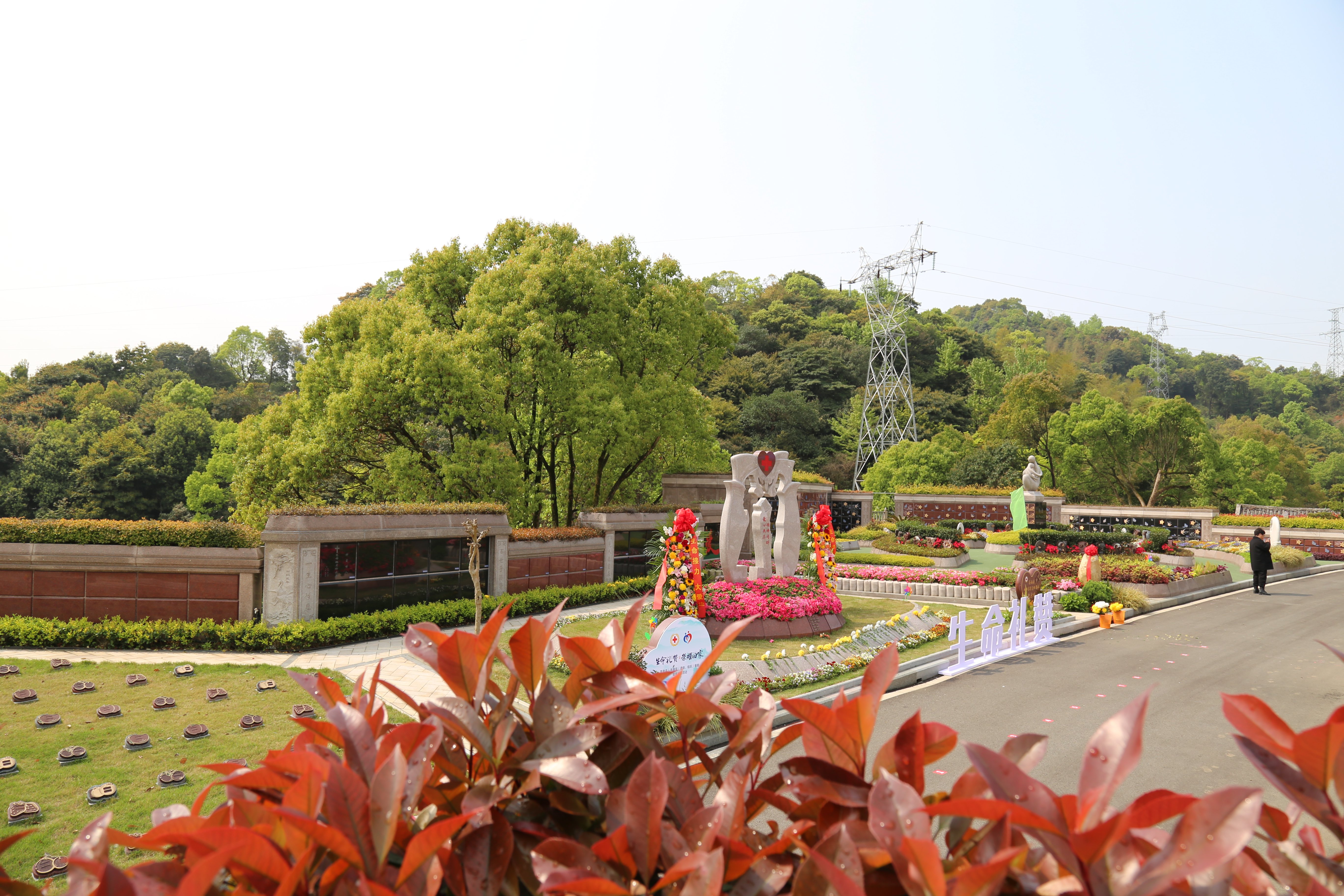 壹号娱乐 - NG大舞台,有梦你就来