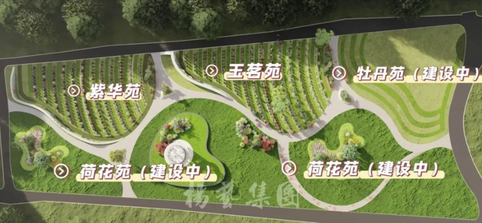 壹号娱乐 - NG大舞台,有梦你就来