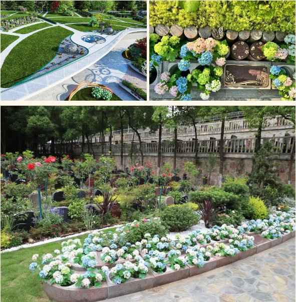 壹号娱乐 - NG大舞台,有梦你就来