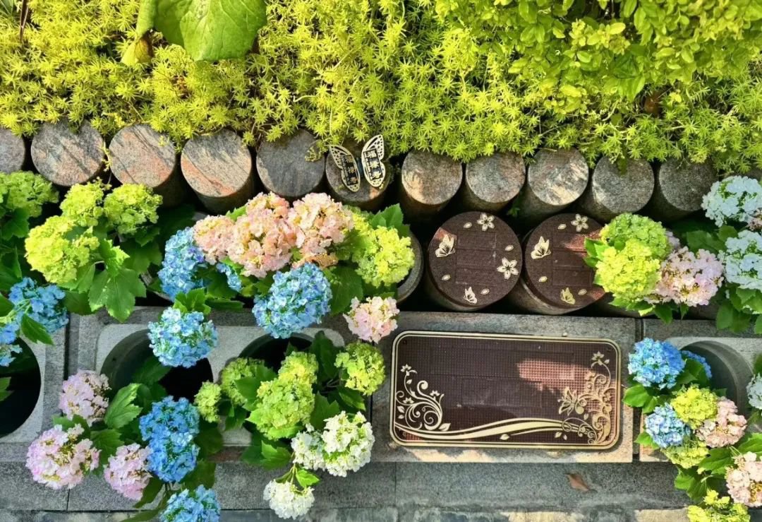 壹号娱乐 - NG大舞台,有梦你就来