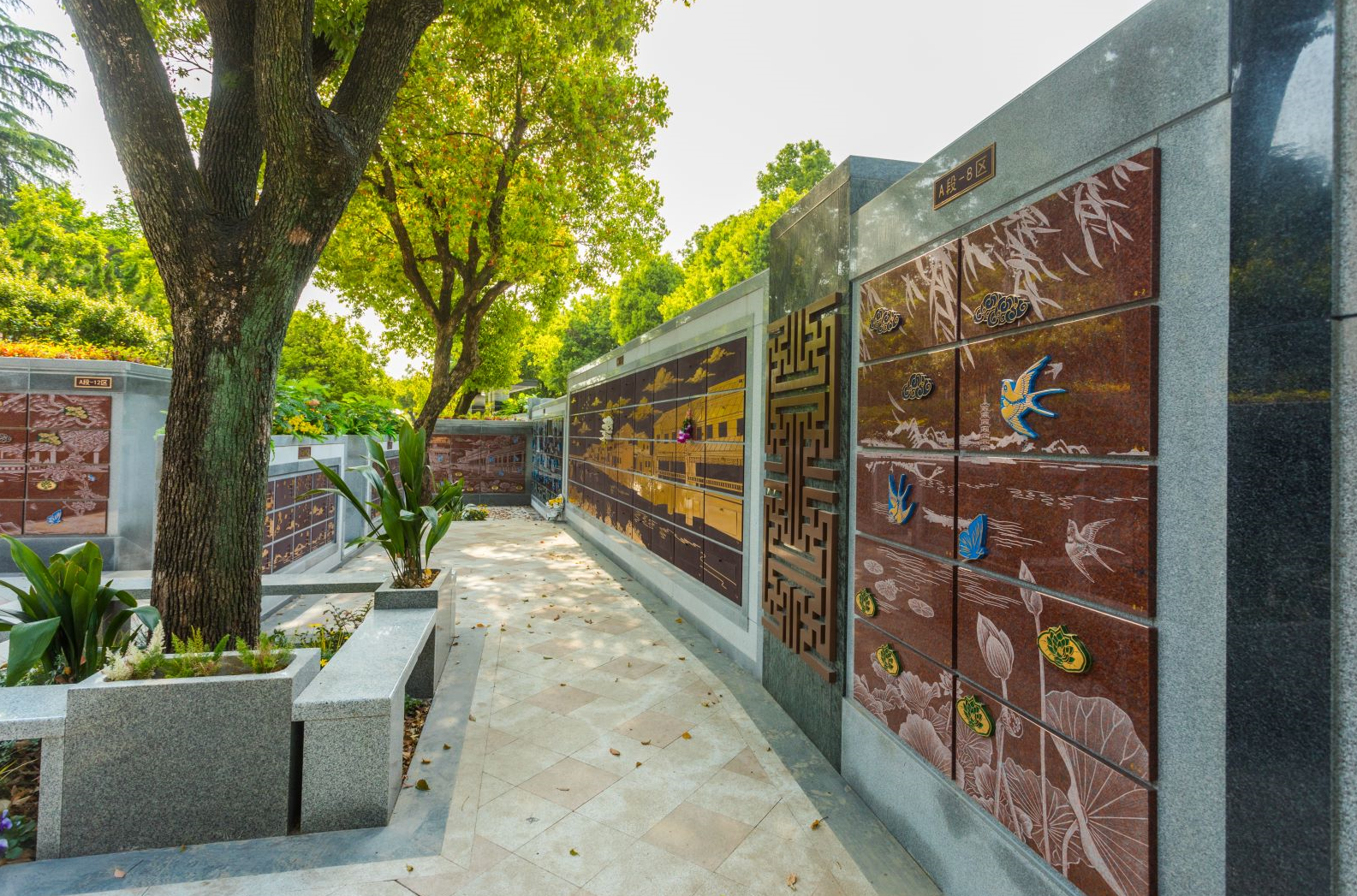 壹号娱乐 - NG大舞台,有梦你就来