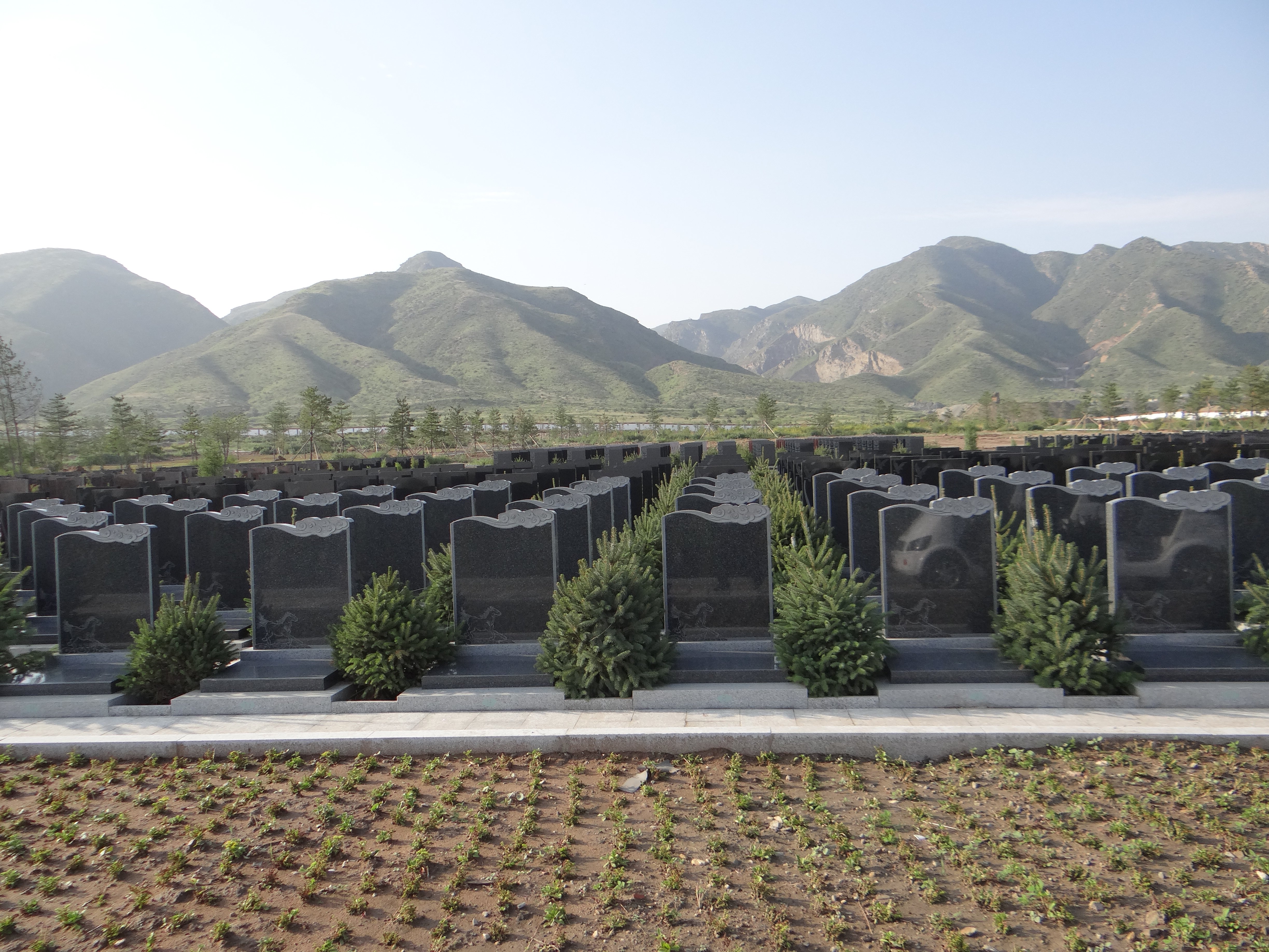 壹号娱乐 - NG大舞台,有梦你就来