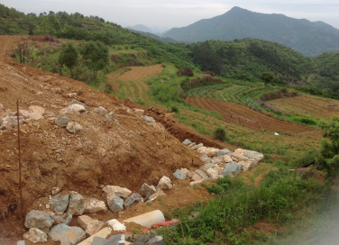 壹号娱乐 - NG大舞台,有梦你就来