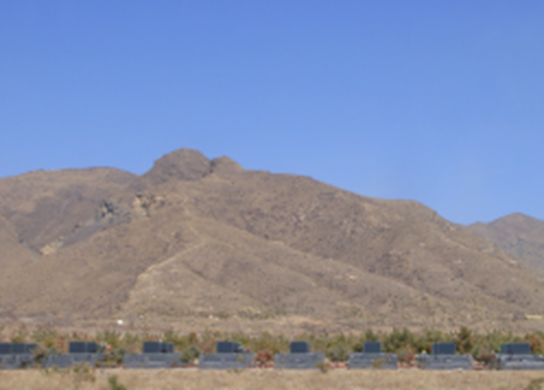 壹号娱乐 - NG大舞台,有梦你就来