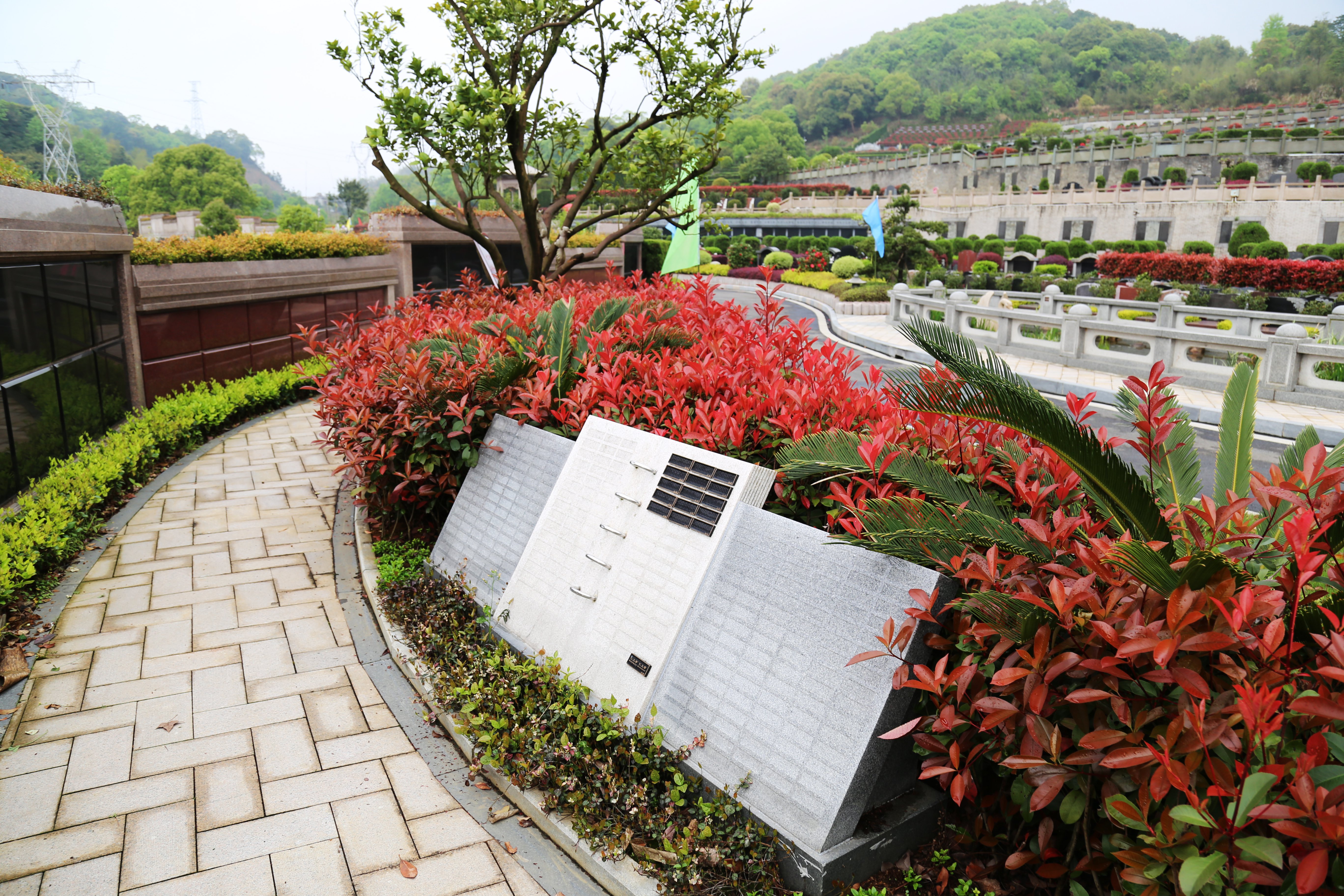 壹号娱乐 - NG大舞台,有梦你就来