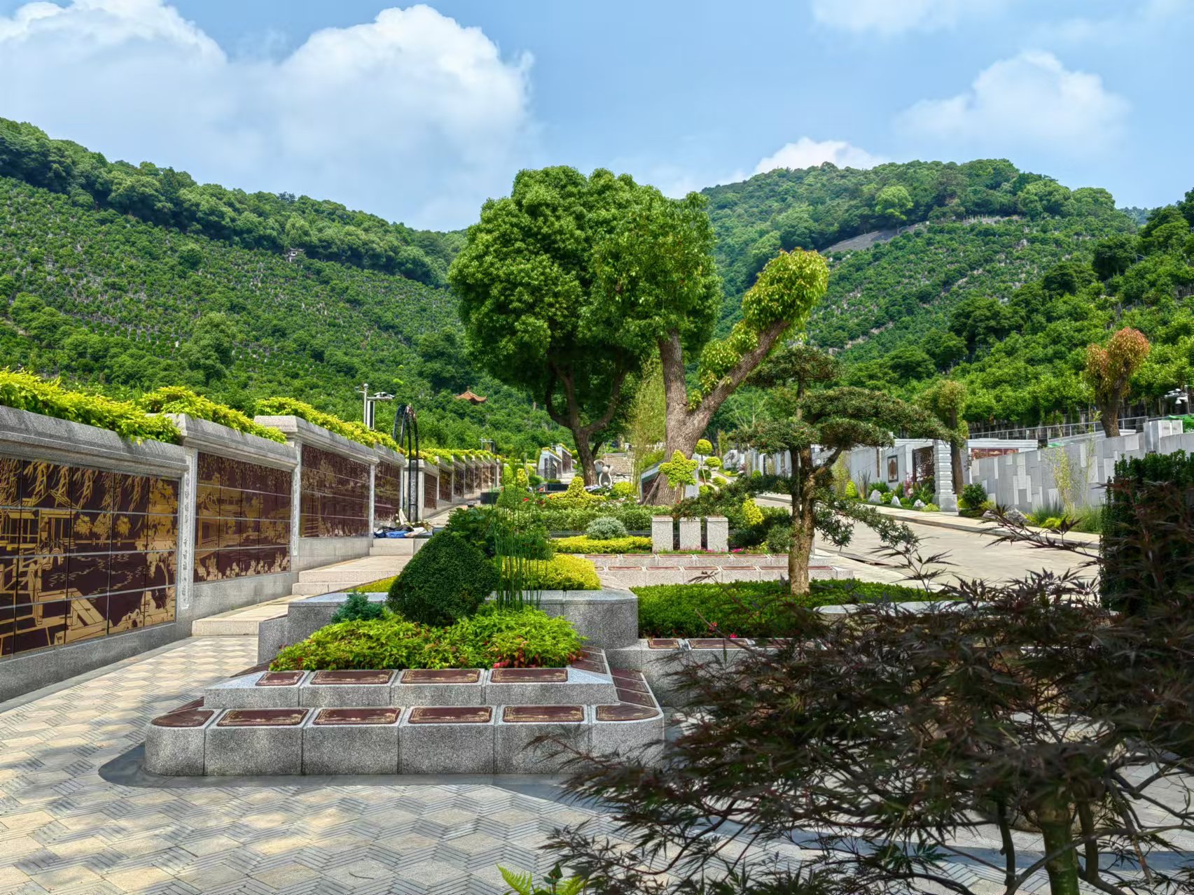 引领绿色生态新风尚，共筑性命和谐家园