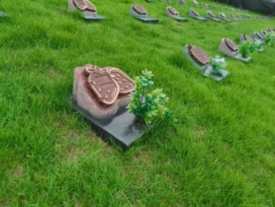 壹号娱乐 - NG大舞台,有梦你就来