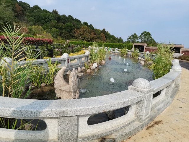 壹号娱乐 - NG大舞台,有梦你就来