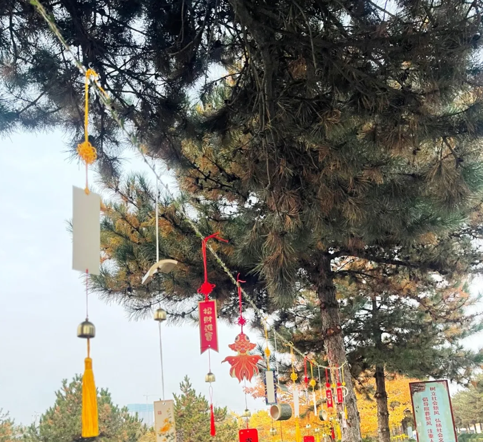 壹号娱乐 - NG大舞台,有梦你就来