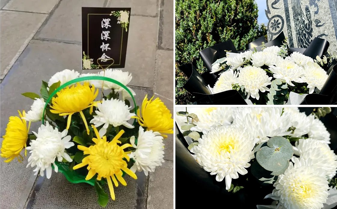 壹号娱乐 - NG大舞台,有梦你就来