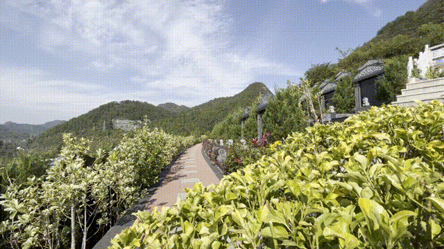 壹号娱乐 - NG大舞台,有梦你就来