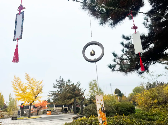 壹号娱乐 - NG大舞台,有梦你就来