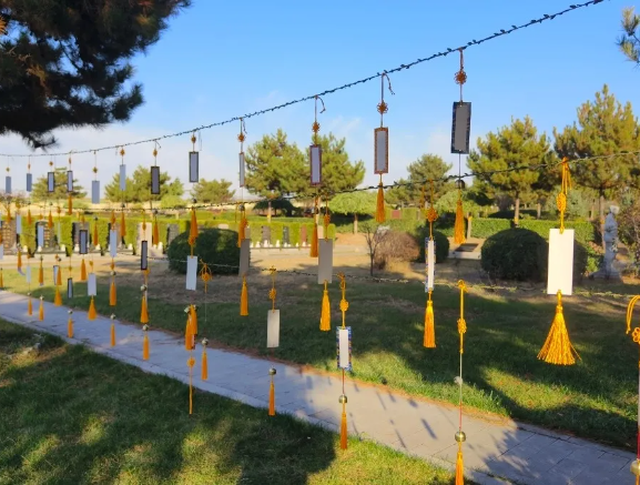 壹号娱乐 - NG大舞台,有梦你就来