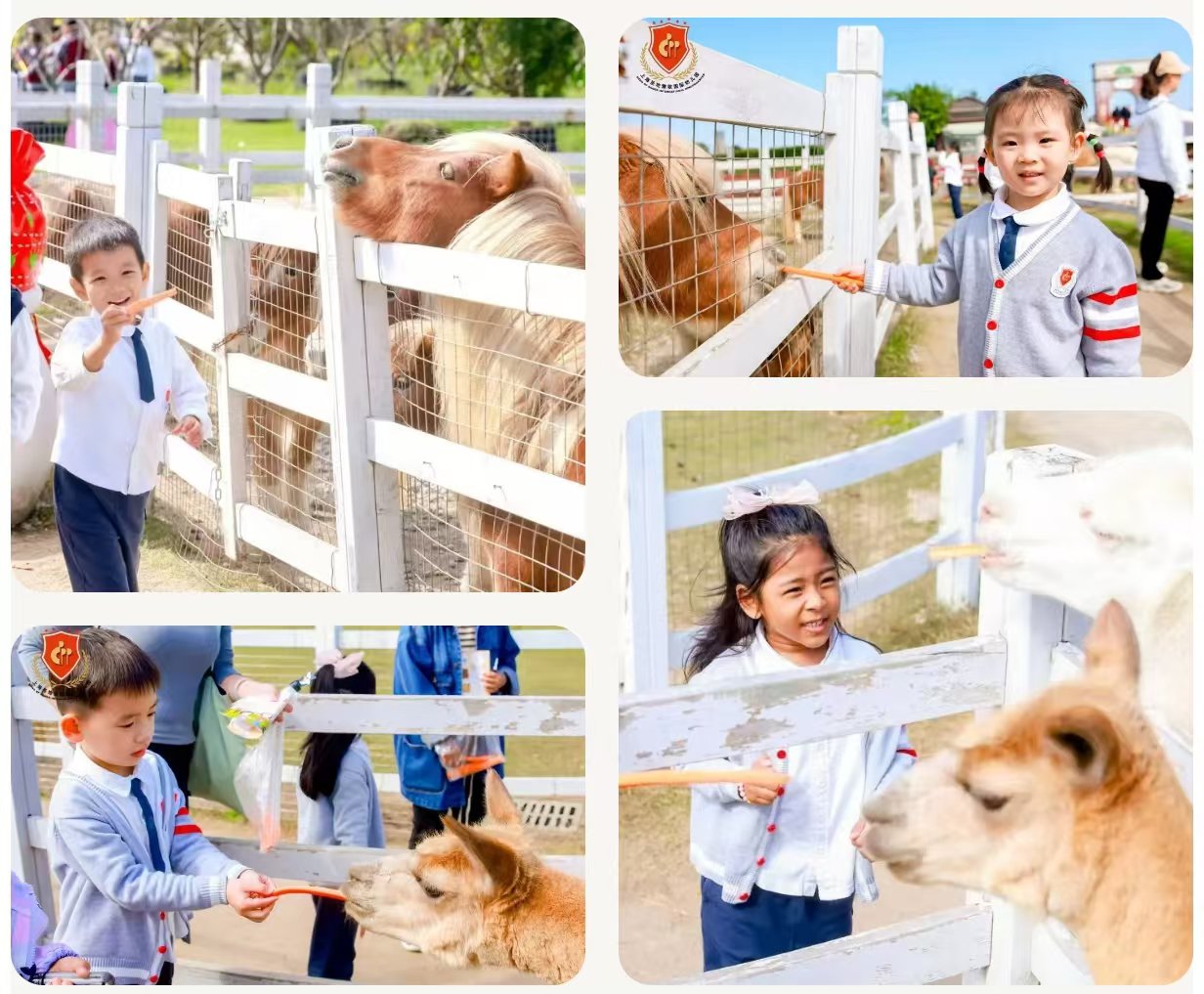 壹号娱乐 - NG大舞台,有梦你就来