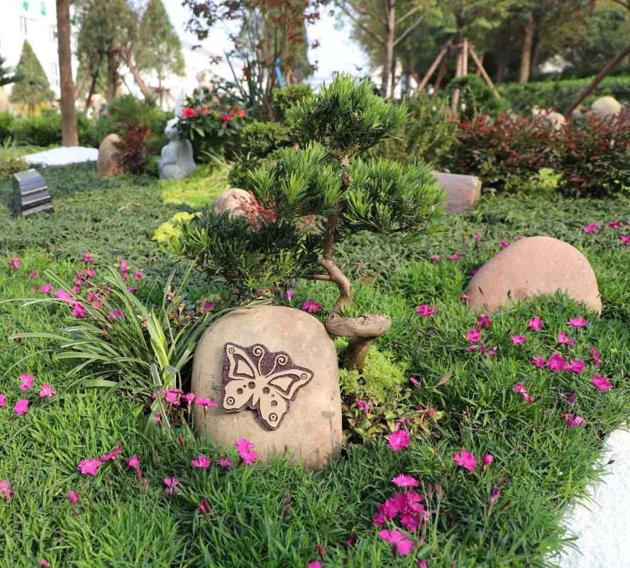 壹号娱乐 - NG大舞台,有梦你就来