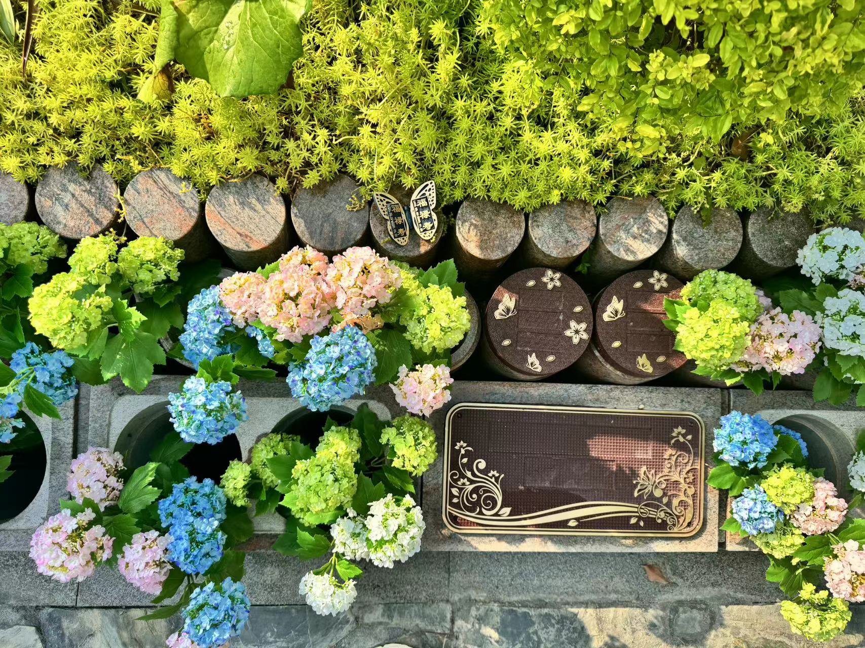 壹号娱乐 - NG大舞台,有梦你就来